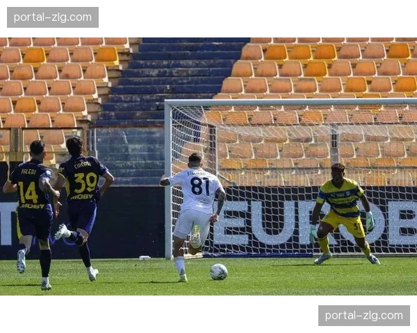 帕尔马1-0小胜比萨，埃尔菲格第82分钟绝杀